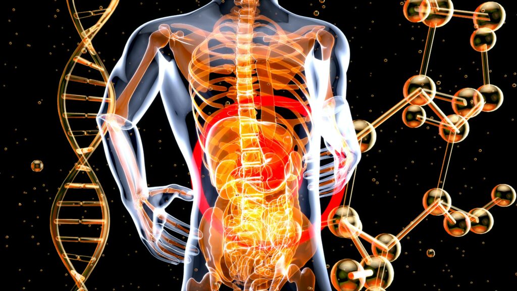 Microbiote intestinal