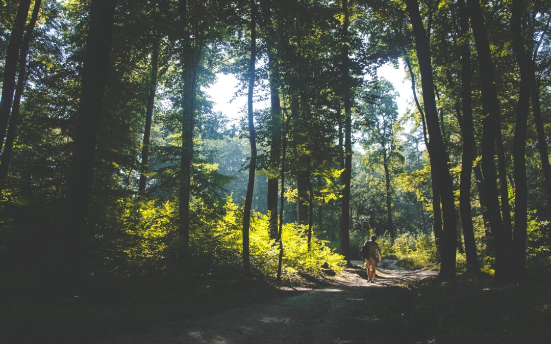 Le walk and talk en thérapie ou la marche vers le bien-être